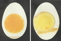 Qualitätsunterschied am gekochten Ei