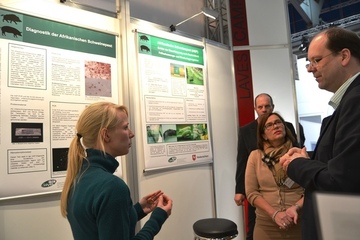 EuroTier 2014: Landwirtschaftsminister Christian Meyer (re.) wird von LAVES-Mitarbeiterinnen Dr. Susanne Ziege (li.) und Dr. Uschi Nagel-Kohl über die Diagnostik der Afrikanischen Schweinepest informiert.