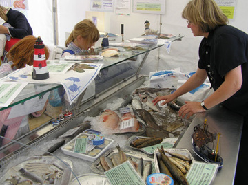 Demonstration verschiedener Fischarten am LAVES-Stand