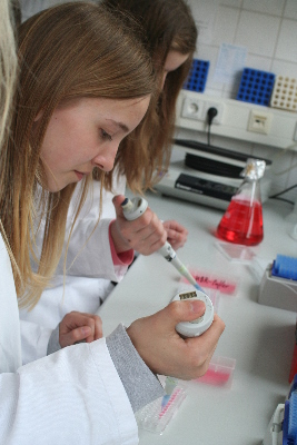 Die Kinder beim pipetieren im Labor Oldenburg