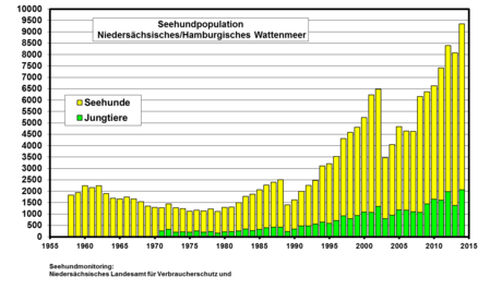 Grafik Seehundpopulation Niedersächsisches/Hamburgisches Wattenmeer