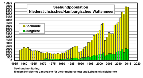 Seehundpopulation Niedersächsisches/Hamburgisches Wattenmeer Stand 2015