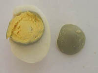 verfärbtes gekochtes Ei
