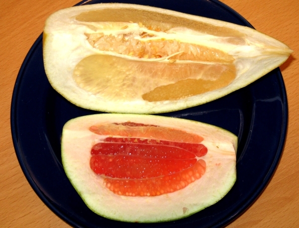 Gelb- und rosafleischige Pomeloviertel