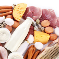 Nahrungsmittel tierischen Ursprungs (Fleisch, Fisch, Eier und Milch) auf weißem Hintergrund