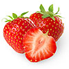 Erdbeere
