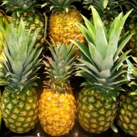 Ananas