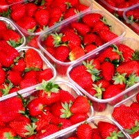 Erdbeeren in Schalen
