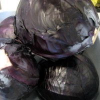 Rotkohl