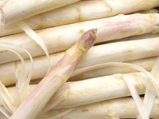 Spargel