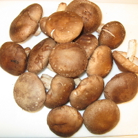 Shiitake