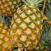 Ananas