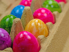 Bunt gefärbte Eier im Eierkarton