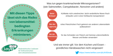 Twitter-Infografik: Was tun gegen krankmachende Mikroorganismen?