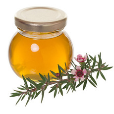 Manuka-Honig