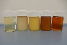 Kleine Schraubgläser mit Honigen in verschiedenen Farben