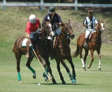 Zwei Polospieler auf braunen Pferden versuchen sich gegenseitig im Kampf um den Ball auszumanövrieren. Im Hintergrund beobachtet ein Schiedsrichter zu Pferd die Szene.