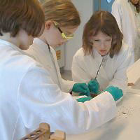 Die Mädchen beim Experimentieren
