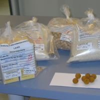 Untersuchte Futter- und Lebensmittel