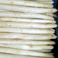 Spargel