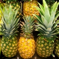 Ananas