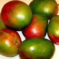 Mangos