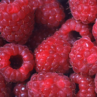 Himbeeren