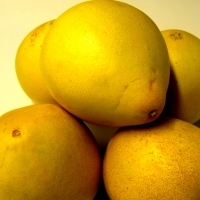 Pomelos