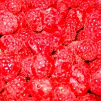 Himbeeren