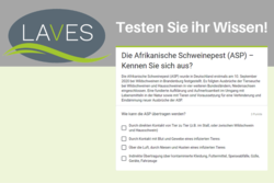 Testen Sie ihr Wissen mit dem Quiz zur Afrikanischen Schweinepest (Link).