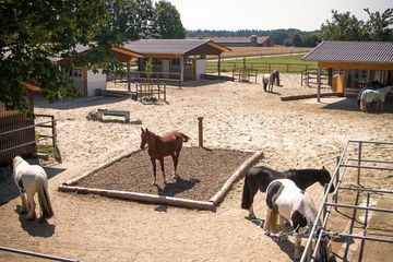 Angebot unterschiedlicher Böden (Sand, Holzhackschnitzel)