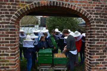 Zukunftstag Institut für Bienenkunde Celle