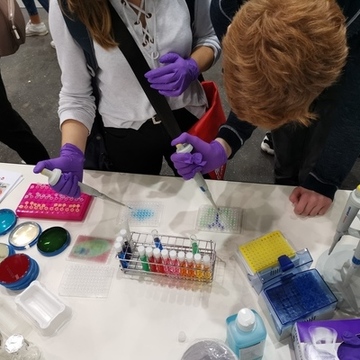 Schüler und Schülerinnen üben sich im Pipettieren von bunten Farblösungen