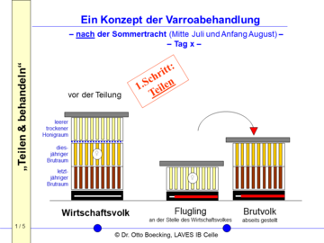 Teilen & behandeln - ein Konzept zur Varroabehandlung, Schritt 1: Teilen (genaue Beschreibung im Artikeltext)