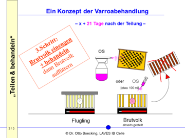 Teilen & behandeln - ein Konzept zur Varroabehandlung, Schritt 3: Brutvolk einenengen und behandeln, dann Brutvolk auffüttern (genaue Beschreibung im Artikeltext)