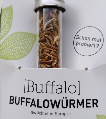 Buffalowürmer