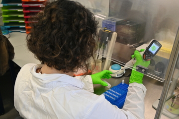 Eine Mitarbeiterin des LAVES in Laborbekleidung füllt Proben in eine Plastikvorrichtung.