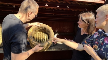 Dr. Gertje Petersen zeigt Ministern Miriam Staudte das Innenleben eines Bienenstocks.