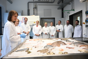 Verbraucherschutzministerin Miriam Staudte im Institut für Fisch und Fischereizeugnisse Cuxhaven vor einem Eisbett, auf dem viele verschiedene Fisch- und Muschelarten liegen.