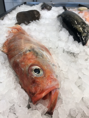 Verschiede Fischarten auf einem Eisbett