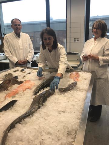 Verbraucherschutzministerin Miriam Staudte im Institut für Fisch und Fischereizeugnisse Cuxhaven vor einem Eisbett, auf dem viele verschiedene Fisch- und Muschelarten liegen.