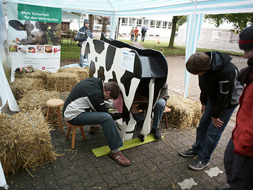 Melkstand mit Kuh Roxy