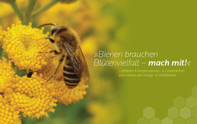 Leitfaden Kompensations- & Grünflächen zum Wohle der Honig- & Wildbienen