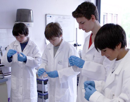 Schüler beim Einfärben von Bakterien