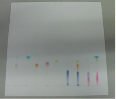 Dünnschichtchromatographie von Farbstoffen