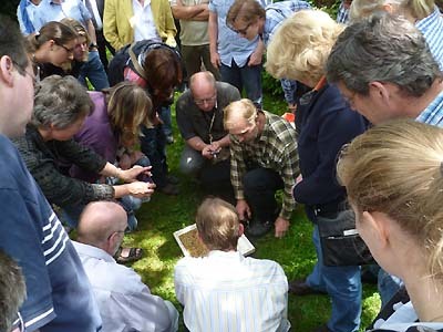 Teilnehmer des Bienenseuchenworkshops