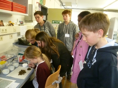 Die Schülerinnen und Schüler im Institut für Bienenkunde in Celle.