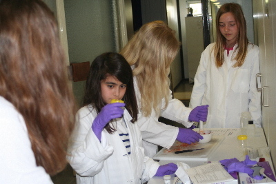 Die Schüllerinnen und Schüler bei der Probenvorbereitung im Labor.