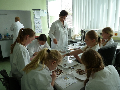 Die Schülerinnen und Schüler bei Versuchen im Labor