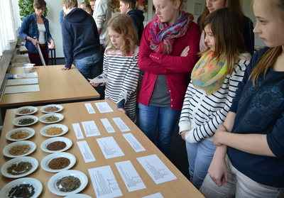 Zukunftstag 2014 LAVES Zentrale III